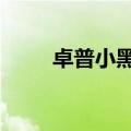 卓普小黑百科（卓普小黑2多少钱）