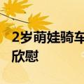 2岁萌娃骑车撞到人后鞠躬式认错 家长：感到欣慰