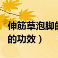 伸筋草泡脚的功效与作用有哪些（伸筋草泡脚的功效）