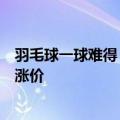 羽毛球一球难得？金陵体育回应：涨价属于炒作，产品没有涨价