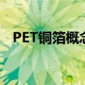 PET铜箔概念震荡走低 经纬辉开跌超10%