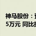 神马股份：预计2024年上半年净利润4842.15万元 同比扭亏为盈
