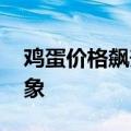 鸡蛋价格飙升近三成 鸡苗企业订单现加速迹象