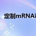 定制mRNA载体可快速创建并自带“导航”