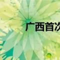 广西首次开行客车化铁海联运班列