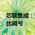 芯联集成：预计归上半年净亏损4.39亿元 同比减亏