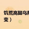 饥荒高脚鸟叛变怎么办（饥荒高脚鸟长大不叛变）
