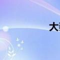 大秦铁路：董事长辞职