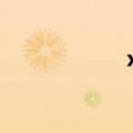 xlmobilechannel