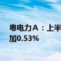 粤电力Ａ：上半年公司累计发电量568.25亿千瓦时 同比增加0.53%