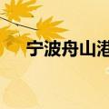 宁波舟山港金塘港区国际航线增至38条