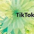 TikTok在海外开启本地生活业务
