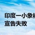 印度一小象被疾驰火车撞倒：多次挣扎起身均宣告失败
