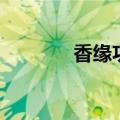 香缘功效作用与主治（香约）