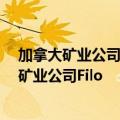 加拿大矿业公司Lundin Mining 计划联手必和必拓收购铜矿业公司Filo