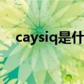caysiq是什么牌子（cacuss是什么品牌）