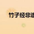 竹子经非遗大师之手成了买不起的样子