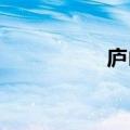 庐山瀑布壮丽景观再现