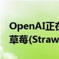 OpenAI正在研发新的先进人工智能，代号为草莓(Strawberry)