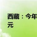 西藏：今年上半年技术合同成交金额8.74亿元