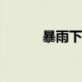 暴雨下的重庆，正在如何应对？