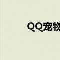QQ宠物砸蛋游戏（qq宠物砸蛋）