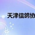 天津信鸽协会最新消息（天津信鸽协会）