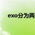exo分为两个小组（关于exo的qq分组）