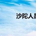 沙陀人是今天什么地方（沙陀人）