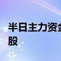 半日主力资金加仓有色金属股，抛售医药生物股