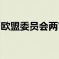欧盟委员会两官员辞职，将前往欧洲议会任职