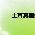 土耳其里拉兑美元汇率跌至纪录低点