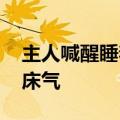主人喊醒睡着猫咪 被小猫教育了：满满的起床气