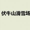 伏牛山滑雪场门票价格（伏牛山滑雪场门票）
