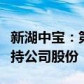 新湖中宝：第一大股东拟5000万元至1亿元增持公司股份