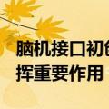 脑机接口初创公司Synchron称AI将对设备发挥重要作用