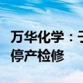 万华化学：子公司匈牙利宝思德化学公司装置停产检修