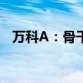 万科A：骨干管理人员完成2亿元增持计划