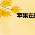 苹果在印度的年度营收增长33%