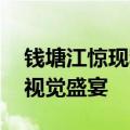 钱塘江惊现罕见的“蝴蝶潮” 网友：壮观的视觉盛宴