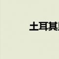 土耳其里拉兑美元跌至纪录低点