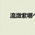 流潋紫哪个网站发表的（流潋紫作品）