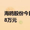 海鸥股份今日跌超8%，四机构净卖出4070.88万元