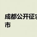 成都公开征求意见，建设低空飞行服务枢纽城市