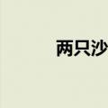 两只沙特ETF上市首日双双涨停
