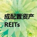 成配置资产“第三选择”，机构加码布局公募REITs