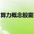 算力概念股震荡回升，寒武纪股价创年内新高