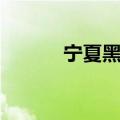 宁夏黑水城遗址（西夏黑水城）