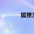 狐狸三国主题曲（狐狸三国）