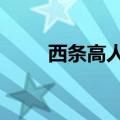 西条高人第2集中文版（西条るり）